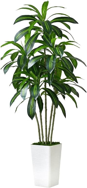 Artificial Dracaena Tree - 5FT Tall Fake Plants with White Tall Planter - Artificial Plants Indoor Floor Plant in Pot - Large Tropical Fake Yucca Potted Tree for Home Office Living Room Decor - Product Image