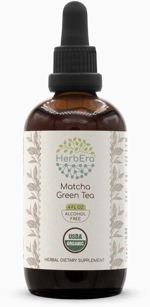 HerbEra Matcha Green Tea B120 USDA Organic Tincture | Alcohol-Free Extract, High-Potency Herbal Drops | Certified Organic Green Tea, Matcha (Camellia sinensis) Dried Leaf (4 oz) - Product Image
