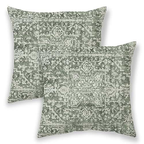 BETGINY Boho Pillow Covers 20x20, Sage Green Cream Ethnic Design Outdoor Decorative Throw Pillows for Couch, Carpet Pattern Decor Cushion Cover 2 Pcs Farmhouse Linen Pillowcase for Bed Car Safa - Product Image