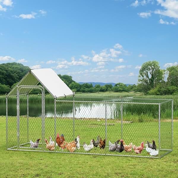 Chicken Coop, Large Metal Chicken Run, Outdoor Chicken Pen with Waterproof and Anti-UV Cover, Walk-in Chicken House with Lockable Door, for Yard, Farm Use, 10' W x 3.3' D x 5' H - Product Image
