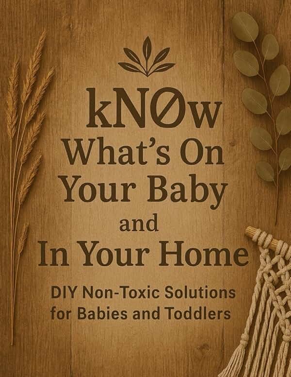 kNOw What’s On Your Baby & In Your Home: A Mom’s Guide to Creating Non-Toxic Baby Care, Household Products, and Family Wellness Recipes at Home - Product Image