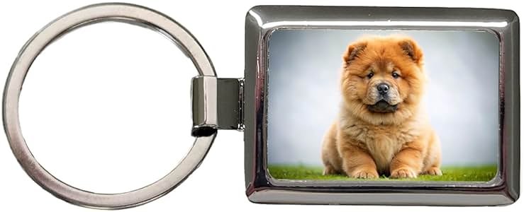 Blooza Blooza Chow Chow Dog Puppy Photo Rectangle Metal Keychain - Product Image