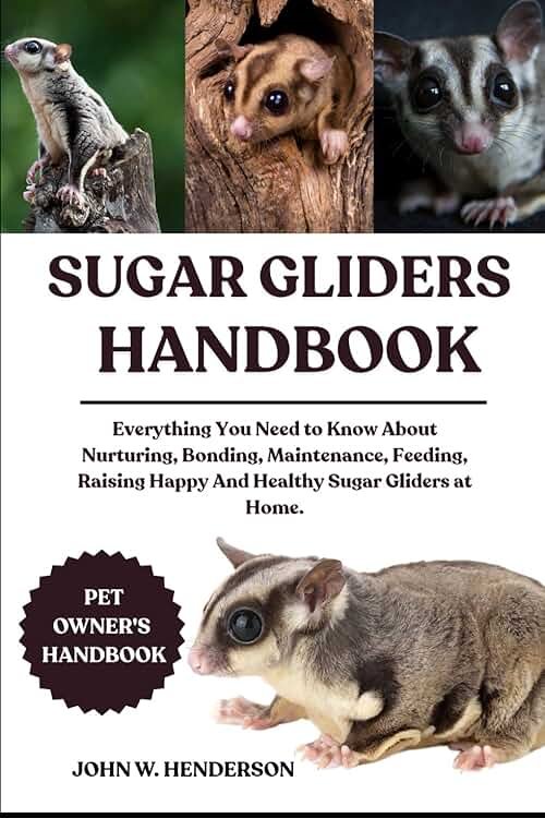 SUGAR GLIDERS HANDBOOK: Everything You Need to Know About Nurturing, Bonding, Maintenance, Feeding, Raising Happy And Healthy Sugar Gliders at Home. - Product Image