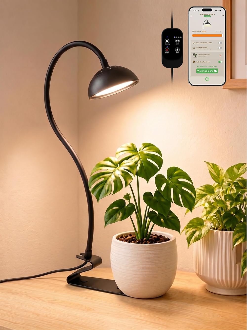 GLOWRIUM Smart Grow Lights for Indoor Plants,10W Full Spectrum LED Plant Light with 3/9/12 Timer,10 Dimmable Levels,Height Adjustable Grow Light with Base (Black) - Product Image