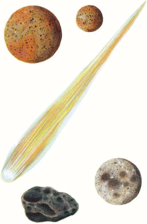 Solar System Stickers (Dover Little Activity Books: Nature) - Image 8