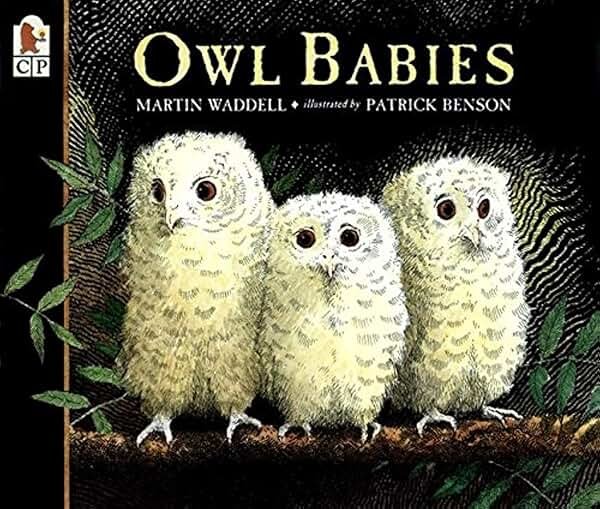 Owl Babies - Product Image