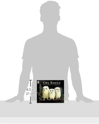 Owl Babies - Image 4