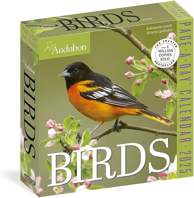 Audubon Birds Page-A-Day® Calendar 2025: The World's Favorite Bird Calendar - Product Image