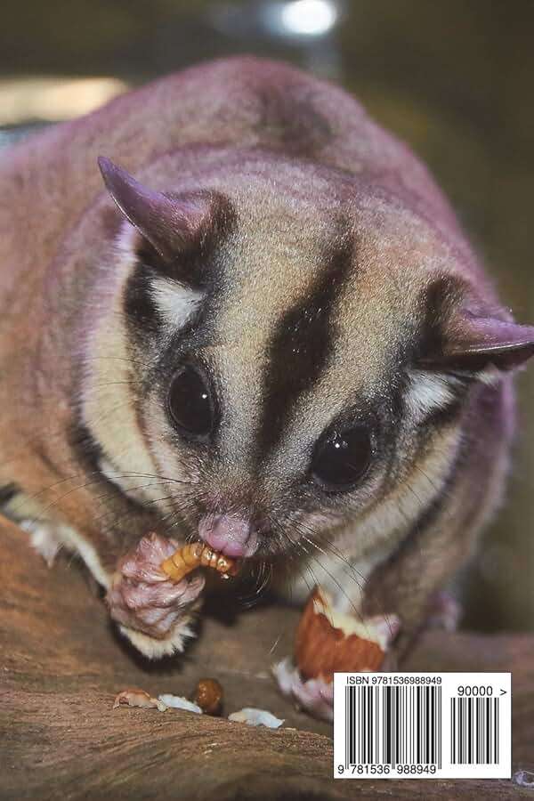 Sugar Glider (Flying Squirrel) on a Tree Journal: 150 page lined notebook/diary - Image 2