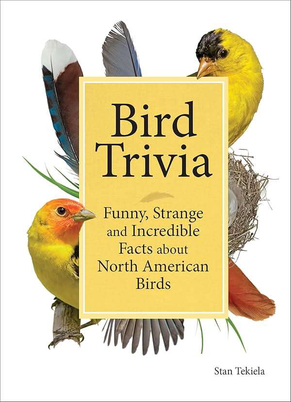 Bird Trivia: Funny, Strange and Incredible Facts about North American Birds - Image 1