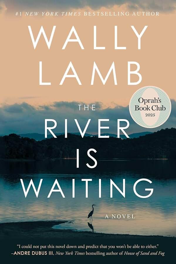 The River Is Waiting (Oprah's Book Club): A Novel - Product Image