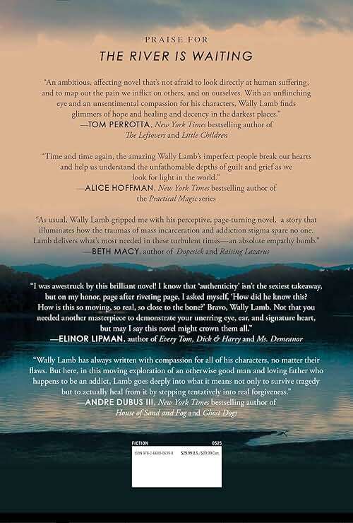 The River Is Waiting (Oprah's Book Club): A Novel - Image 2