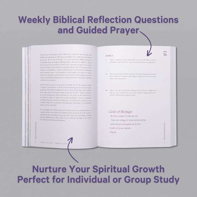 A Beautiful Year in the Bible: The 52-Week Bible Study for Women (SC) - Image 3