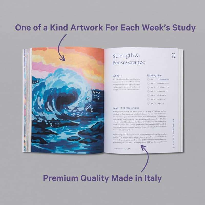 A Beautiful Year in the Bible: The 52-Week Bible Study for Women (SC) - Image 4