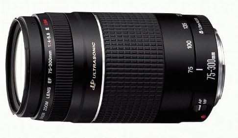 Canon EF 75-300mm f/4-5.6 III Telephoto Zoom Lens for Canon SLR Cameras - Image 7