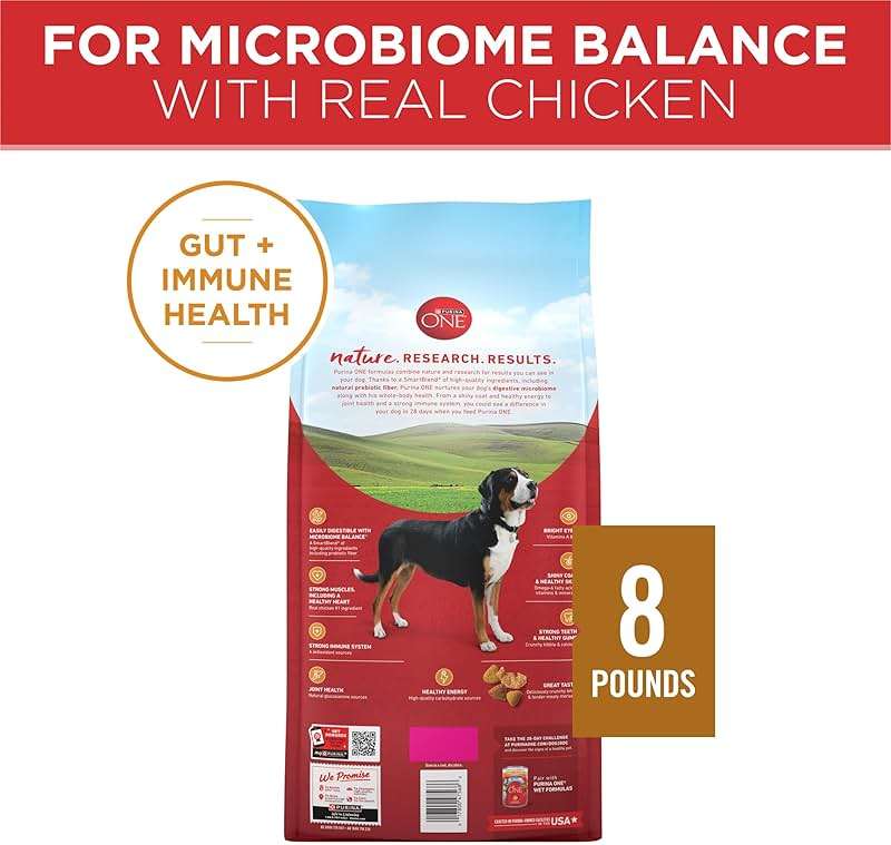 Purina ONE Chicken and Rice Formula Dry Dog Food - 8 lb. Bag - Image 7