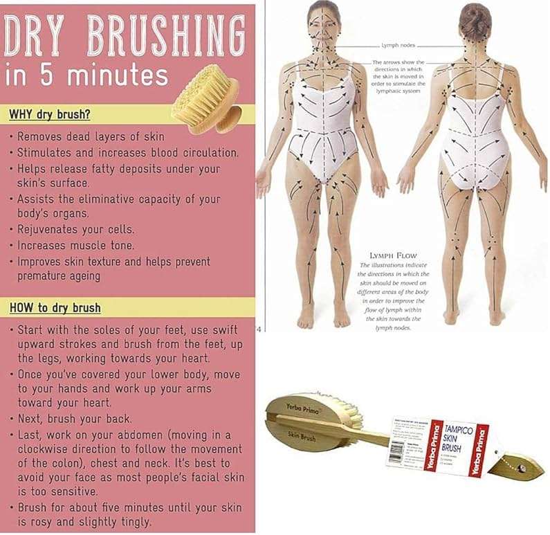 Yerba Prima Tampico Skin Brush (Pack of 1) - Natural Vegetable Fiber Bristles for Dry Skin Brushing - Image 6