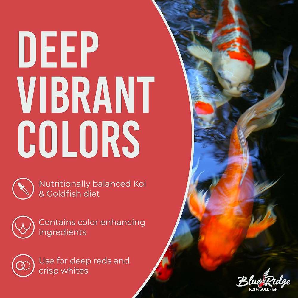 Blue Ridge Koi Fish Food 2lb - Koi Food Mini Growth Formula, Goldfish Food, Premium Fish Food for Ponds, Ponds Fish Food, Floating Pond Pellets - Image 5