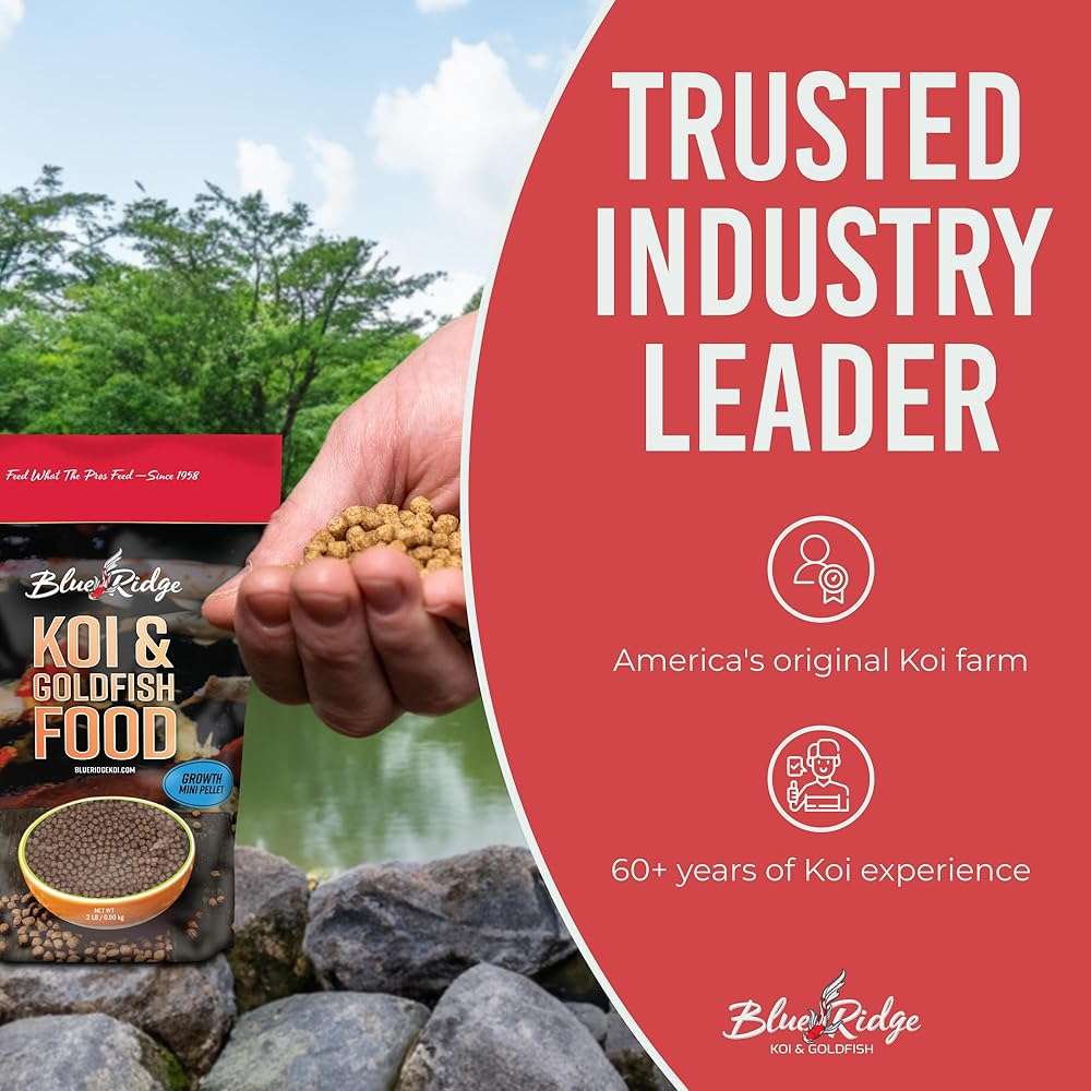 Blue Ridge Koi Fish Food 2lb - Koi Food Mini Growth Formula, Goldfish Food, Premium Fish Food for Ponds, Ponds Fish Food, Floating Pond Pellets - Image 7