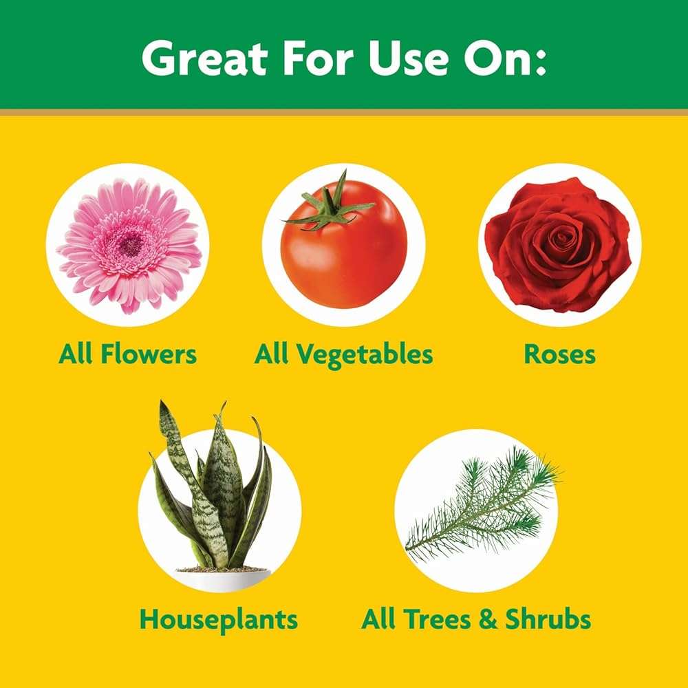 Miracle-Gro Water Soluble All Purpose Plant Food - Fertilizer For All Indoor or Outdoor Plants including Roses, Flowers, Vegetables, Houseplants, Trees, and Shrubs, 3 lbs. - Image 4
