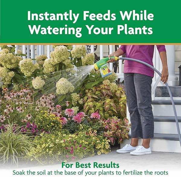 Miracle-Gro Water Soluble All Purpose Plant Food - Fertilizer For All Indoor or Outdoor Plants including Roses, Flowers, Vegetables, Houseplants, Trees, and Shrubs, 3 lbs. - Image 10
