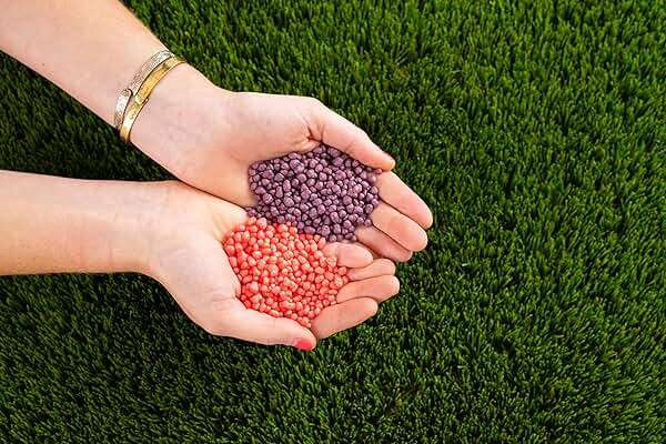 Nerds Grape & Strawberry Candy 1.65 Ounce, Pack of 36 - Image 7