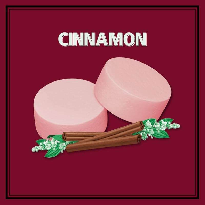 ALTOIDS Classic Cinnamon Hard Candy Breath Mints Bulk, 1.76 zz Tin (Pack of 12) - Image 3