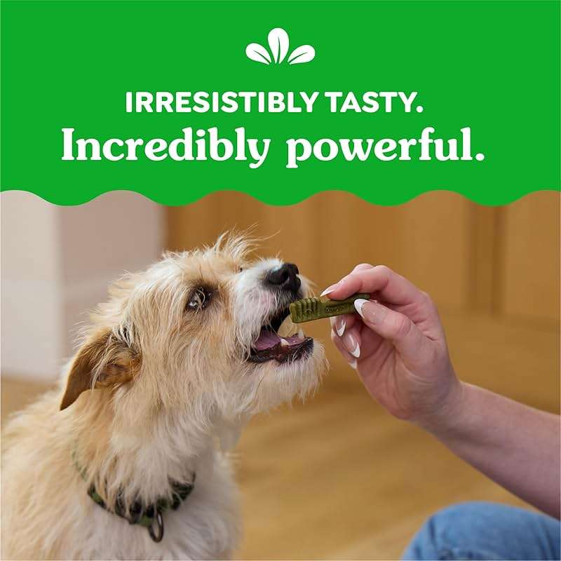 Greenies Veterinarian-Recommended Adult Natural Dental Dog Treats Teenie Size, Dog Dental Chews, Original Flavor, 12 oz. Pack, 43 Count - Image 9
