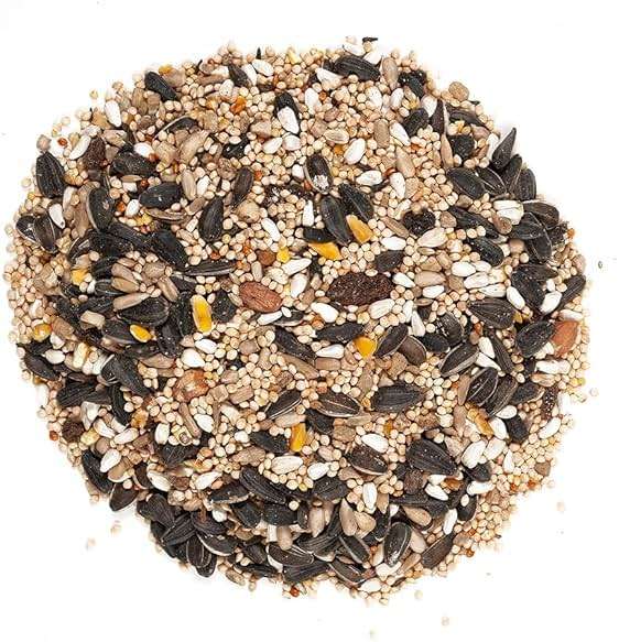 Wagner's 62034 Greatest Variety Blend Wild Bird Food, 6-Pound Bag - Image 3