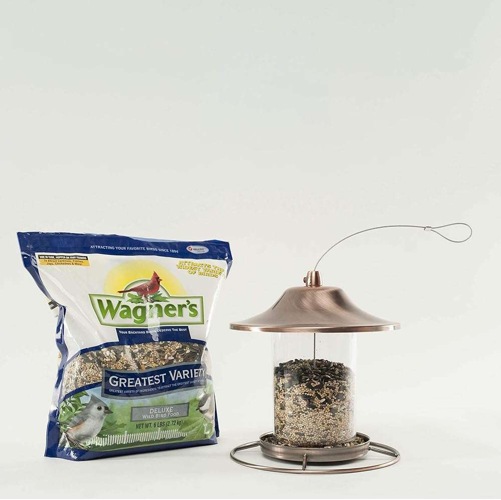 Wagner's 62034 Greatest Variety Blend Wild Bird Food, 6-Pound Bag - Image 7