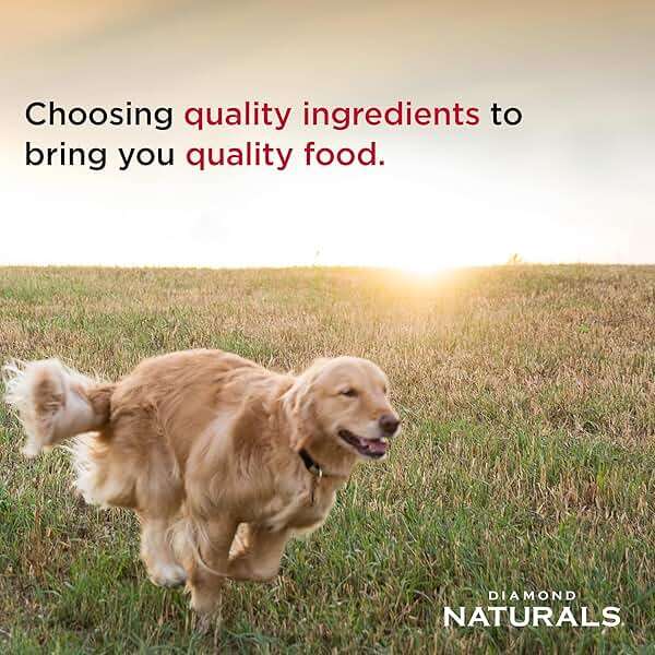 Diamond Naturals All Life Stages Chicken and Rice Formula Dry Dog Food Protein from Real Chicken, and Probiotics 40 Pound (Pack of 1) - Image 5