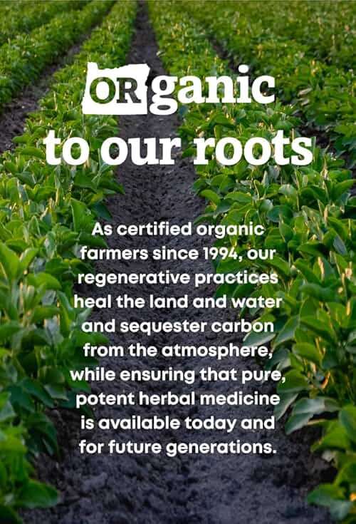 Oregon's Wild Harvest Organic Skullcap Vegan Capsules | Traditional Herbal Supplement, 90 Count - Image 6