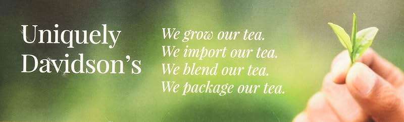 Davidson's Organics, Decaffeinated English Breakfast, 100-count Unwrapped Tea Bags - Image 8