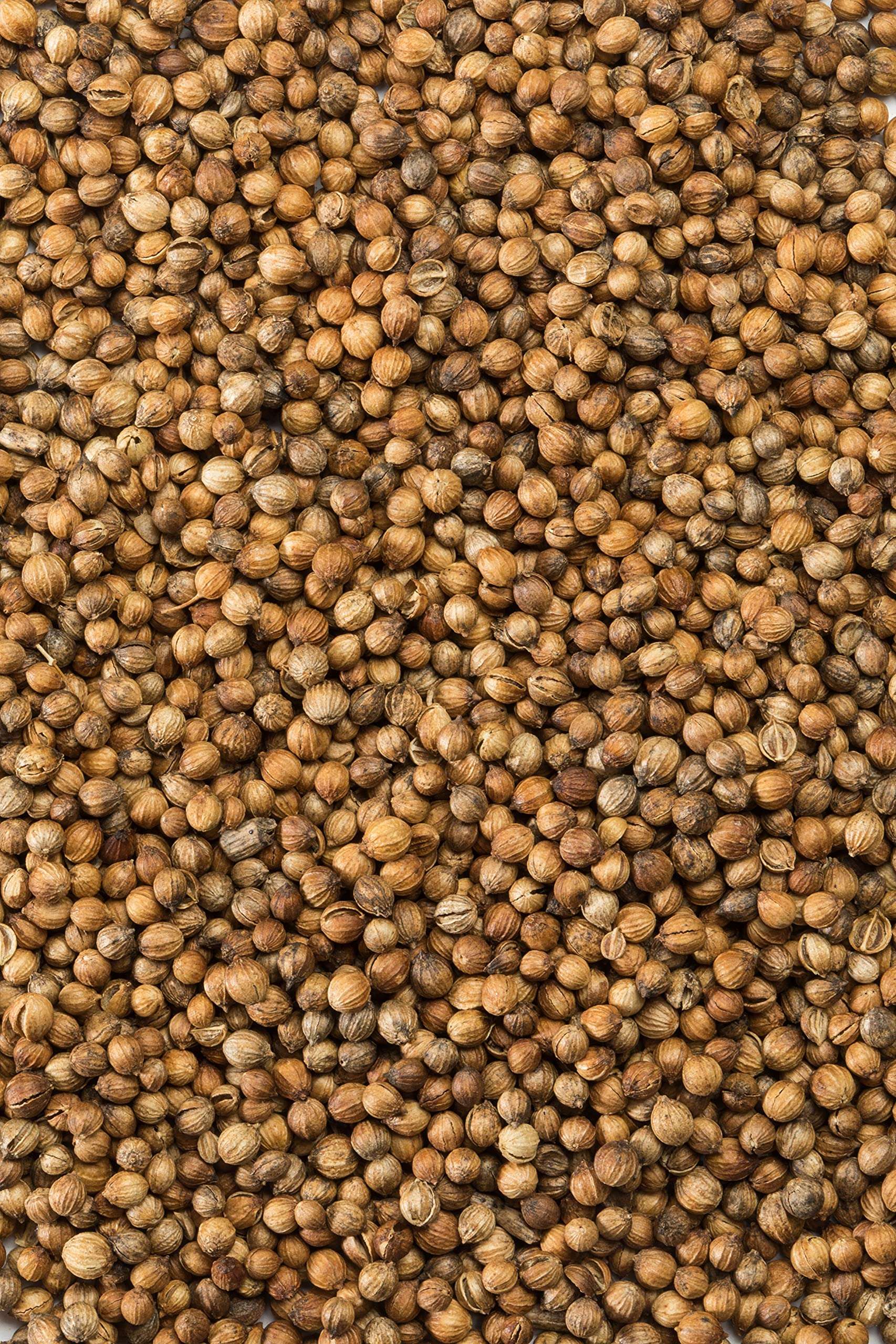 McCormick Gourmet Organic Coriander Seed, 0.87 Oz - Image 8