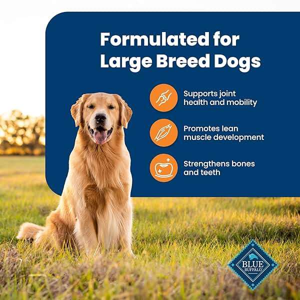 Blue Buffalo Life Protection Formula Large Breed Adult Dry Dog Food, Promotes Joint Health and Lean Muscles, Made with Natural Ingredients, Chicken & Brown Rice Recipe, 30-lb Bag - Image 4