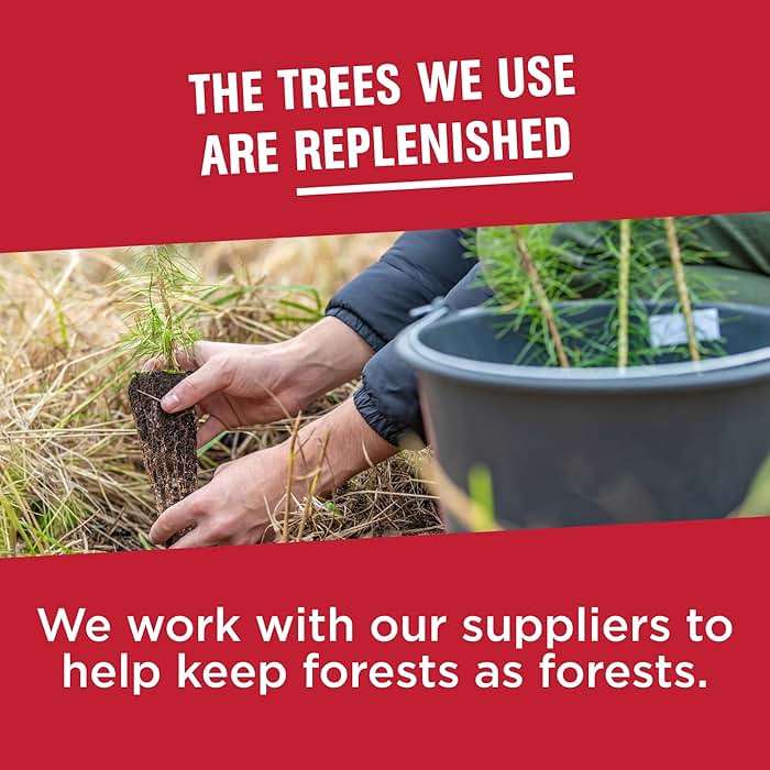 Vanity Fair Everyday Paper Napkins, 100 Count, Disposable Napkins Made Soft And Smooth For Everyday Meals - Image 8