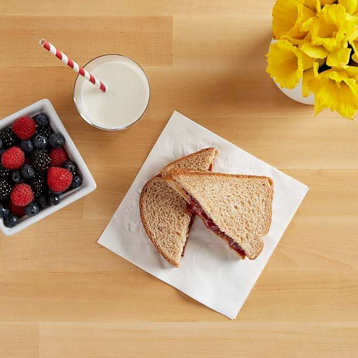 Vanity Fair Everyday Paper Napkins, 100 Count, Disposable Napkins Made Soft And Smooth For Everyday Meals - Image 9