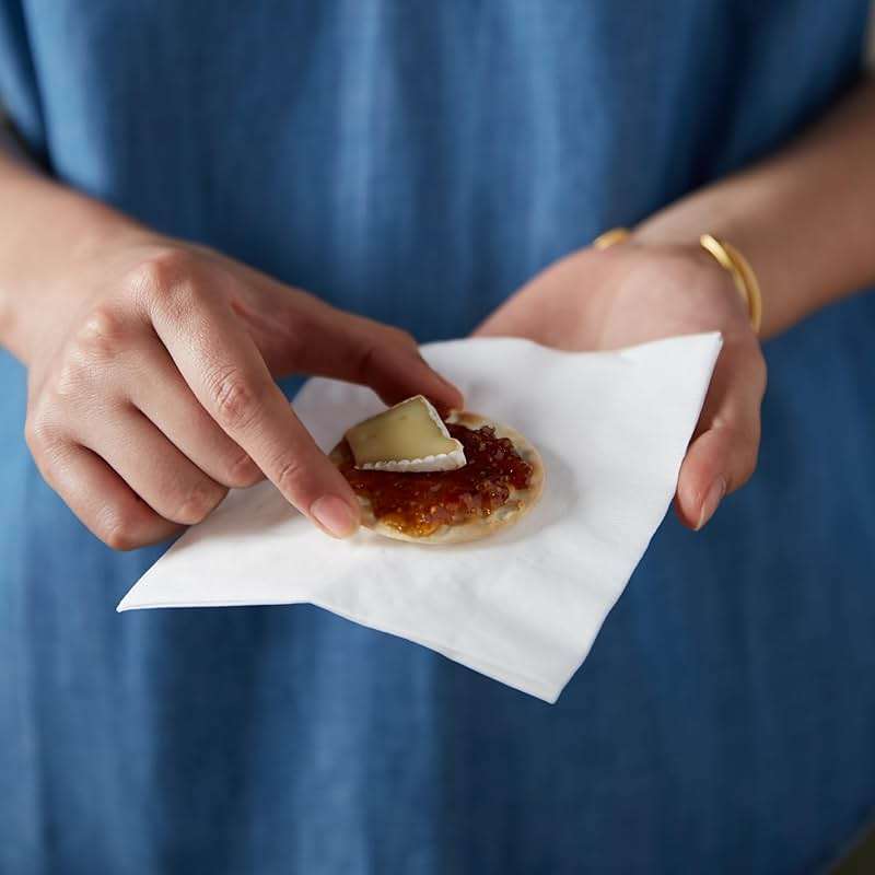 Vanity Fair Everyday Paper Napkins, 100 Count, Disposable Napkins Made Soft And Smooth For Everyday Meals - Image 10