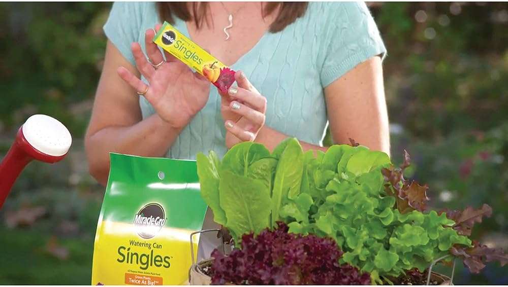 Miracle-Gro Watering Can Singles All Purpose Water Soluble Plant Food - Fertilizer for Flowers, Vegetables, Houseplants, Trees, Indoor and Outdoor Plants, 24 Packets - Image 2