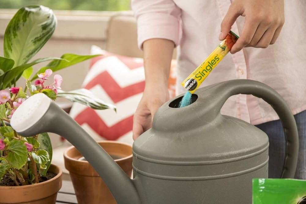 Miracle-Gro Watering Can Singles All Purpose Water Soluble Plant Food - Fertilizer for Flowers, Vegetables, Houseplants, Trees, Indoor and Outdoor Plants, 24 Packets - Image 9