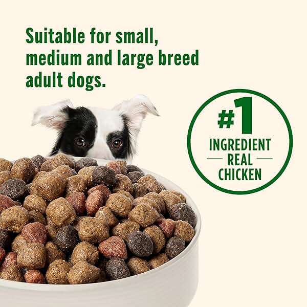 Nutrish Dry Dog Food, Real Chicken & Veggies Recipe Whole Health Blend, 6 lb. Bag (Rachael Ray) - Image 6