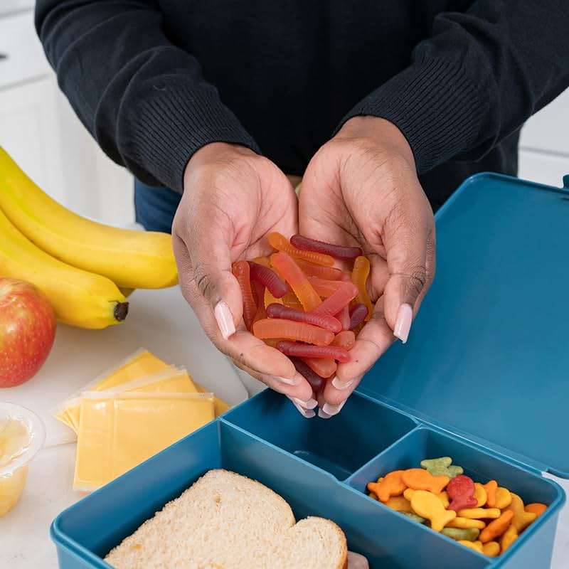 Surf Sweets Gummy Worms, Made with Organic Cane Sugar and Organic Fruit Juice, Gluten Free, Nut-Free, Vegetarian and No Artificial Colors or Flavors, 2.75 oz (Pack of 12) - Image 9