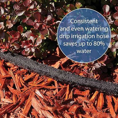 Gilmour 50' Black Flat Weeper Soaker Hose for Garden Beds, Drip Irrigation Outdoor Hose, Flexible Garden Hose for Vegetable Gardens, Flower Beds, Lawns, and Orchards - Image 7