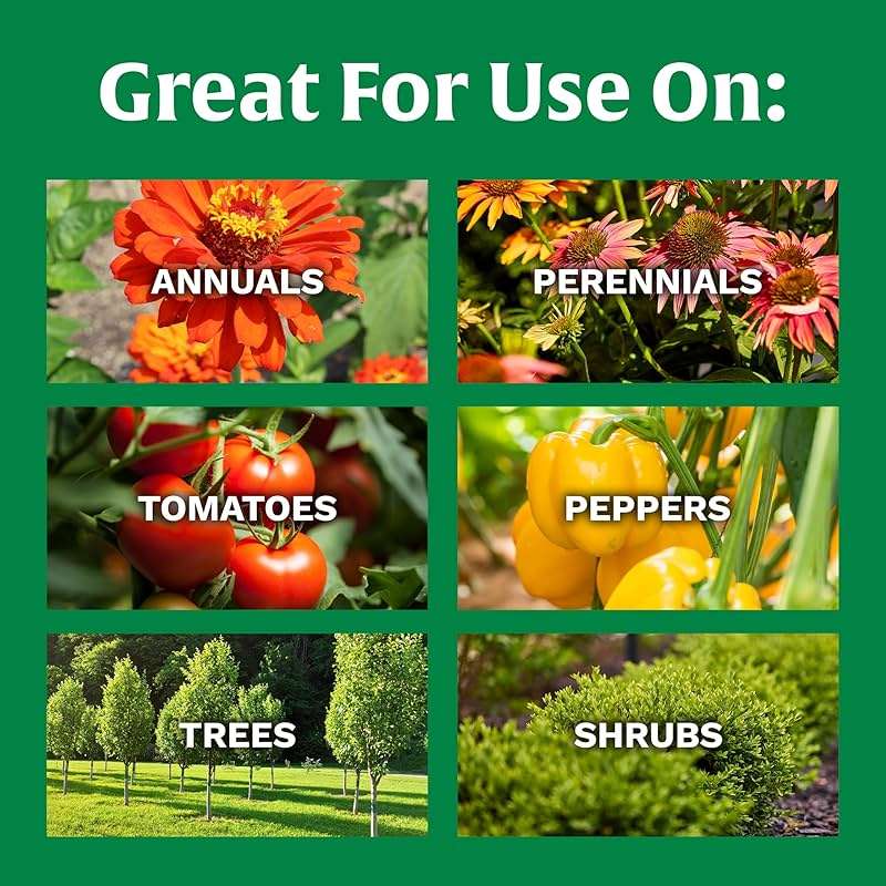 Scotts All Purpose Flower and Vegetable Continuous Release Plant Food, For Outdoor In-Ground Plants, 3 lb. - Image 5