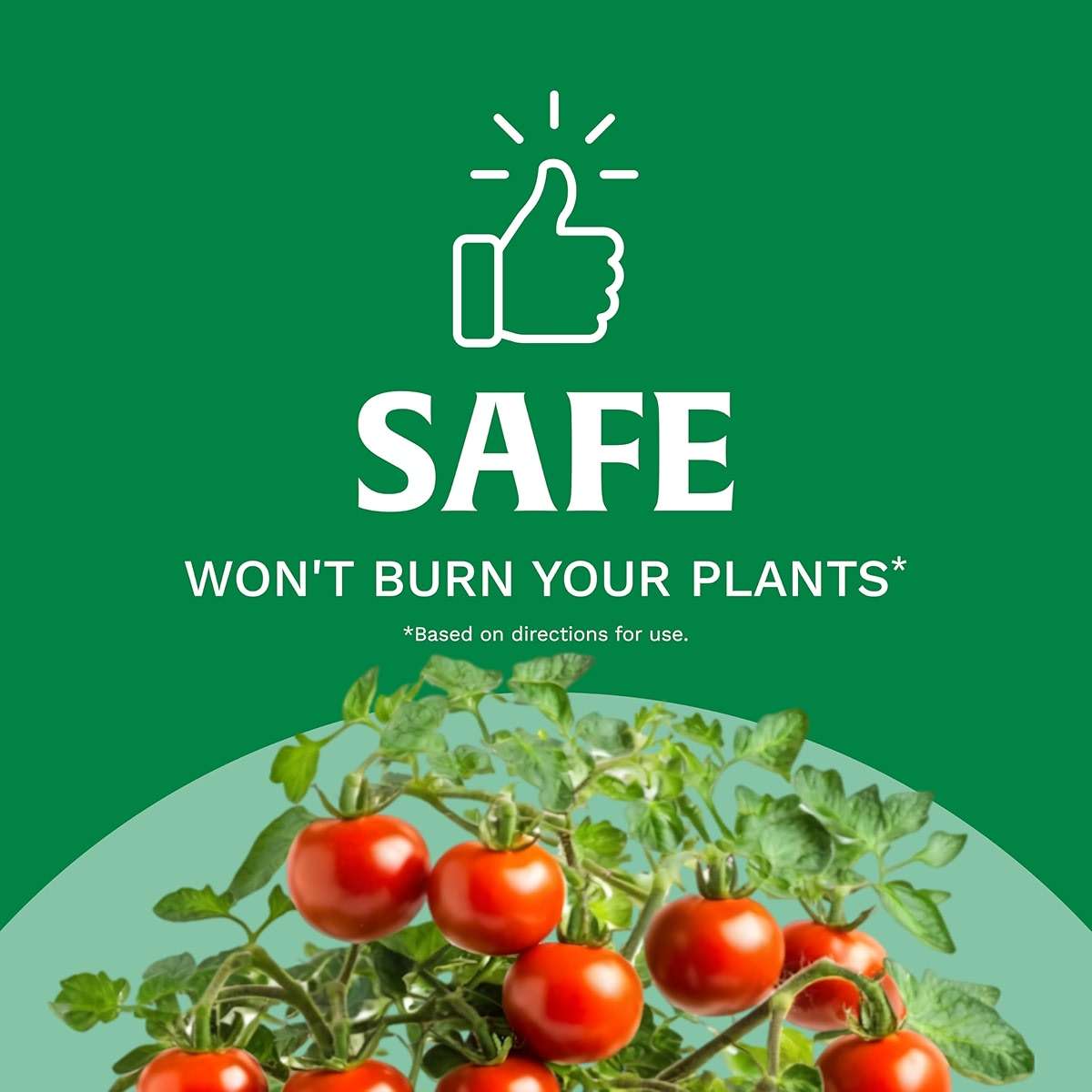 Scotts All Purpose Flower and Vegetable Continuous Release Plant Food, For Outdoor In-Ground Plants, 3 lb. - Image 6