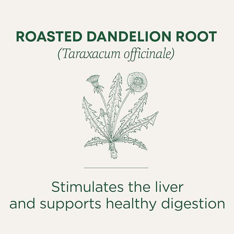 Traditional Medicinals Organic, Roasted, Dandelion Root Tea - Supports Normal Detox + Digestion - Kosher, Non-GMO, Caffeine-Free, Compostable - 16 Tea Bags - Image 2