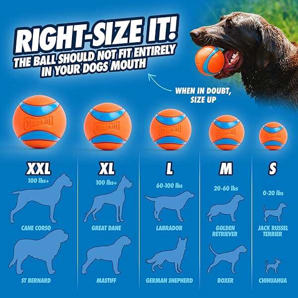 Chuckit! Ultra Ball Dog Toy - Size Large - For Dogs 60-100 lbs - Made from Durable Rubber - Super Bouncy - Floats in Water - 3-inch Diameter - Pack of 1 - Image 4