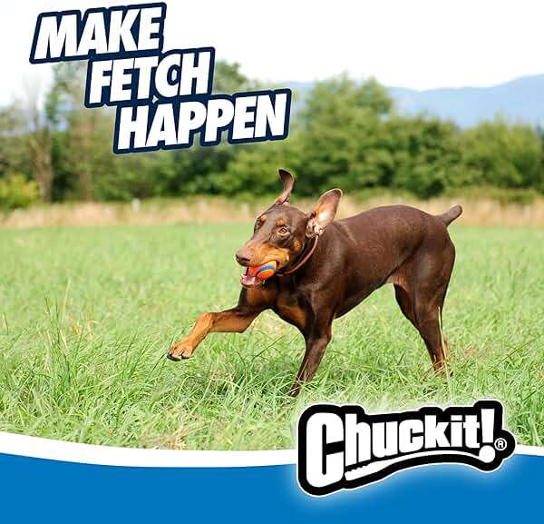 Chuckit! Ultra Ball Dog Toy - Size Large - For Dogs 60-100 lbs - Made from Durable Rubber - Super Bouncy - Floats in Water - 3-inch Diameter - Pack of 1 - Image 6