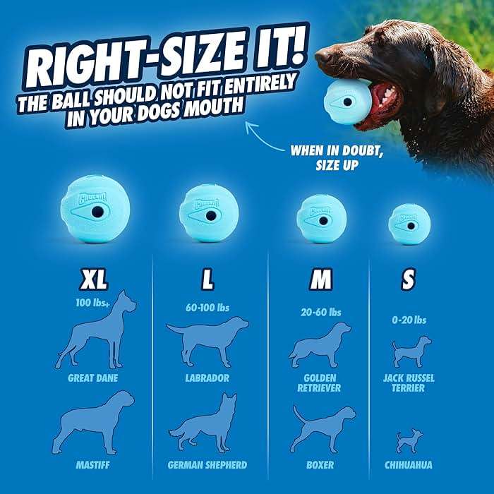 Chuckit! The Whistler Ball Dog Toy, Medium (2.5 Inch Diameter) for Dogs 20-60 lbs, Pack of 2, Multicolor - Image 5