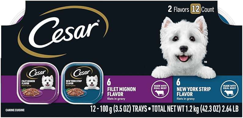 Cesar Filets in Gravy Adult Wet Dog Food Variety Pack, Filet Mignon and New York Strip Flavors, 3.5 oz. Easy Peel Trays, Variety Pack of 12 - Image 1